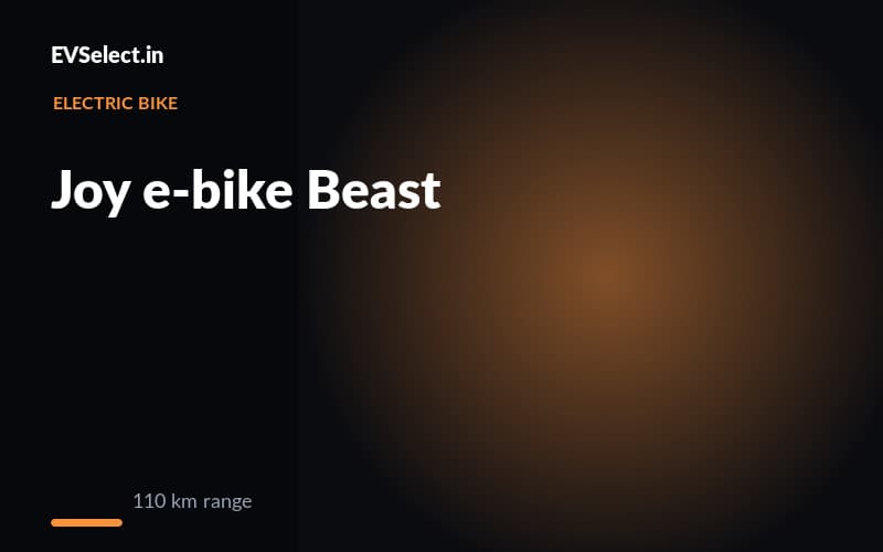 Joy e-bike Beast