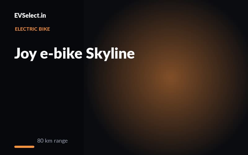 Joy e-bike Skyline