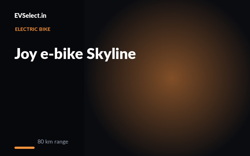 Joy e-bike Skyline